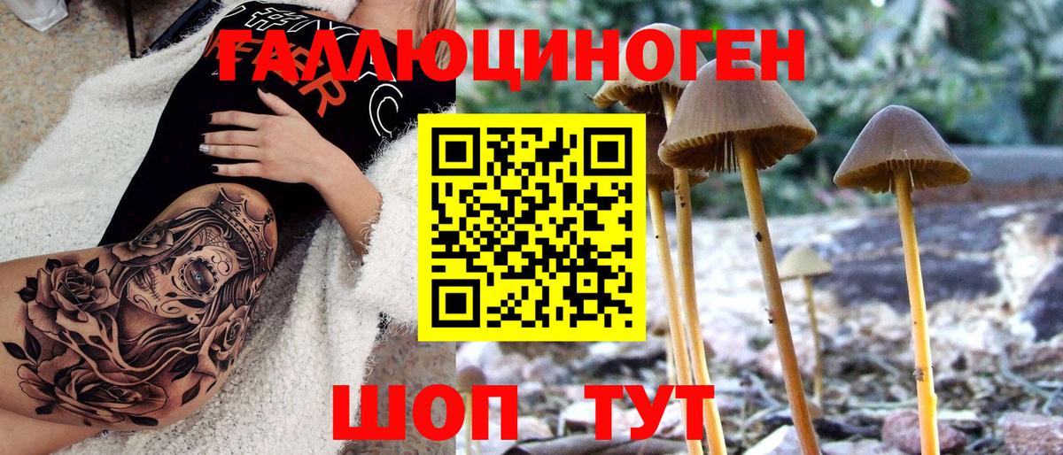 Анжеро-Судженск  Галлюциногенные грибы MAGIC MUSHROOMS  Вход с VPN 
