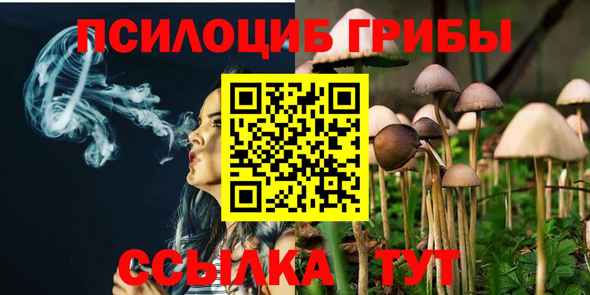 Псилоцибиновые грибы GOLDEN TEACHER Анжеро-Судженск
